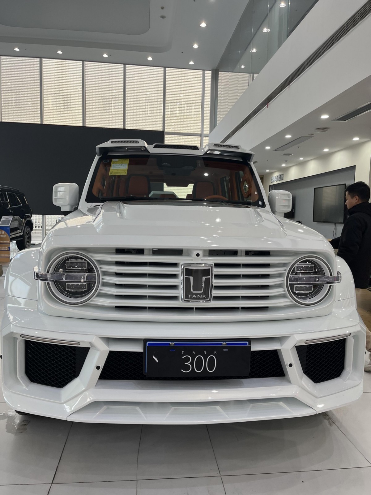 Tank 300